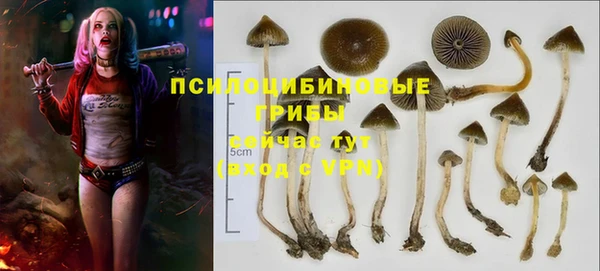 MDMA Беломорск