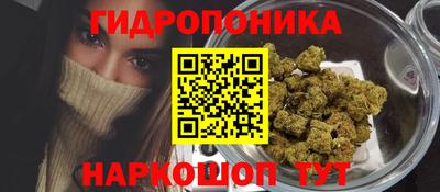 прущие грибы Апрелевка