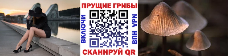 Псилоцибиновые грибы мицелий  закладки  hydra вход  Бугульма 