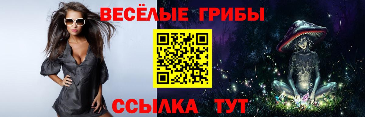 Псилоцибиновые грибы прущие грибы Бугульма